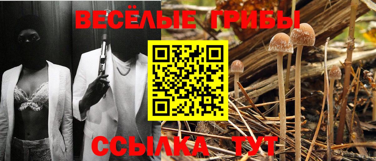 Псилоцибиновые грибы прущие грибы Белая Калитва